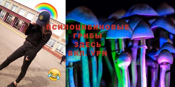 mdpv Волоколамск